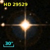HD  29529
