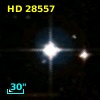 HD  28557