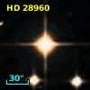 HD  28960