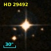HD  29492