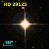 HD  29125