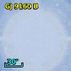 GJ  9160 B