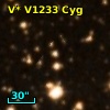 V* V1233 Cyg