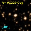 V* V1229 Cyg
