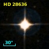 HD  28636