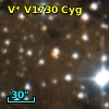 V* V1730 Cyg