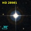 HD  28981