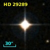 HD  29289