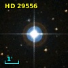 HD  29556