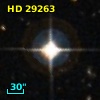 HD  29263