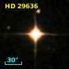 HD  29636