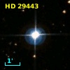 HD  29443