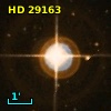 HD  29163