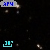 APMSCC 28