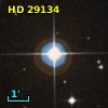 HD  29134
