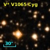 V* V1065 Cyg