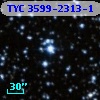 TYC 3599-2313-1