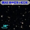 IRAS 04429+4228