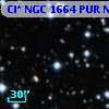 Cl* NGC 1664    PUR      N