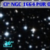 Cl* NGC 1664    PUR      O