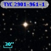 TYC 2901-961-1