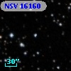 NSV 16160