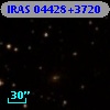 IRAS 04428+3720