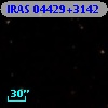 IRAS 04429+3142