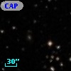 CAP 0442+29