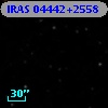 IRAS 04442+2558