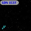 LDN 1537