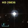 HD  29836