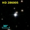 HD 286005