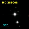 HD 286008