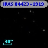IRAS 04423+1919