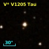 V* V1205 Tau