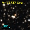 V* V1737 Cyg