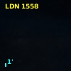 LDN 1558