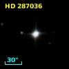 HD 287036