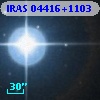 IRAS 04416+1103