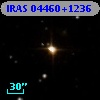 IRAS 04460+1236