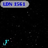 LDN 1561