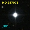 HD 287075