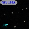 NSV  1709