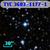 TYC 3603-1177-1