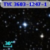 TYC 3603-1247-1