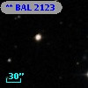 ** BAL  2123