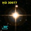 HD  30977