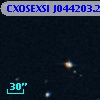 CXOSEXSI J044203.2+020634