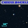 CXOSEXSI J044203.3+020516